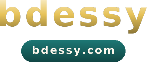 bdessy logo